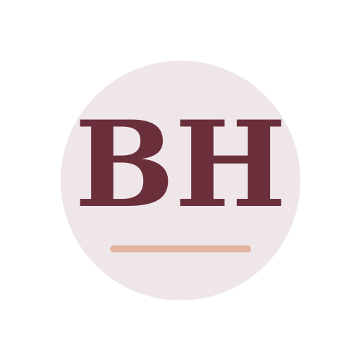 Baxter Hollow Chimney Service logo